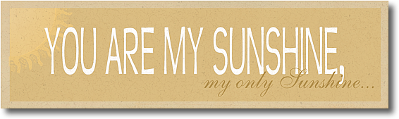 you-are-my-sunshine-sign